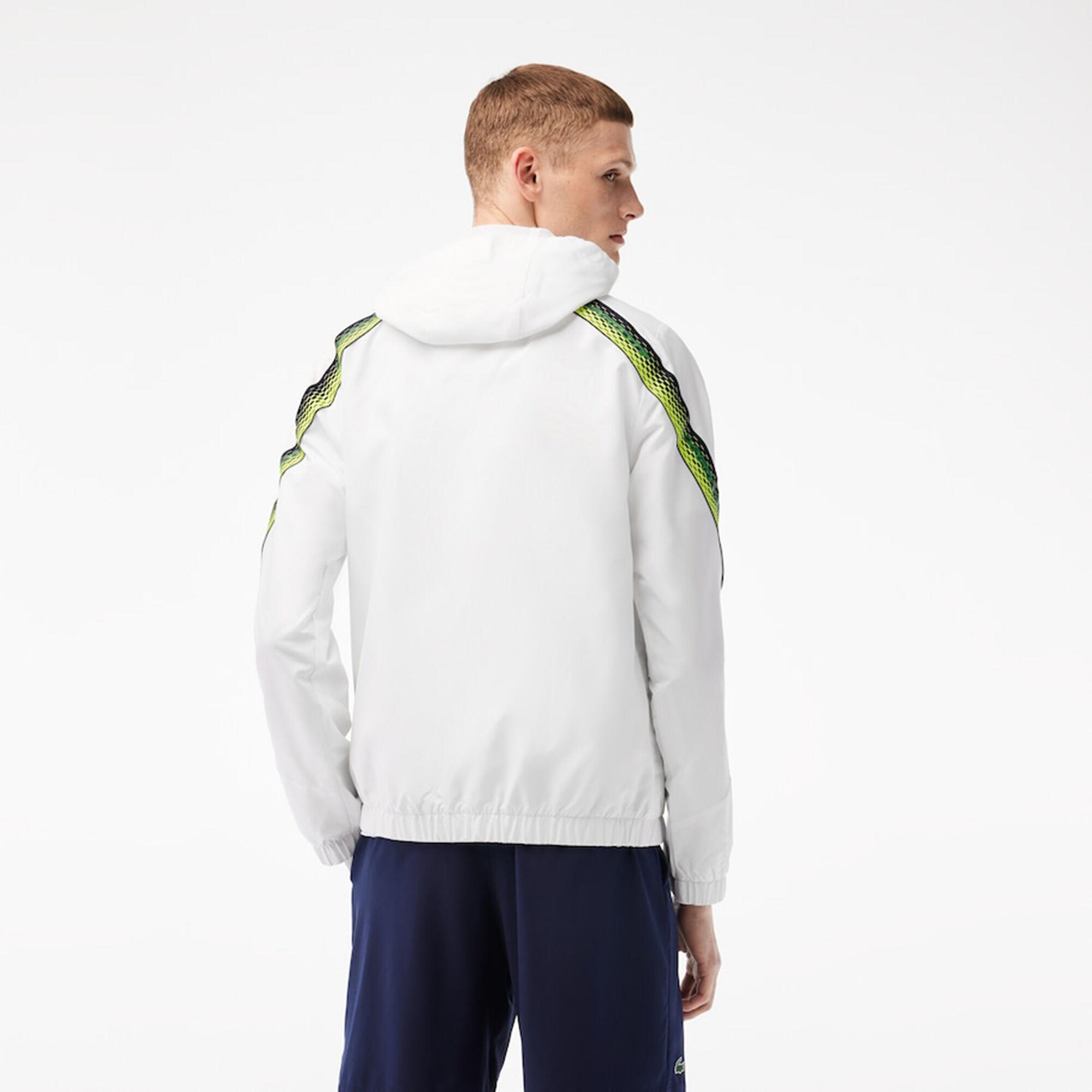 online | Blau kaufen Trainingsjacke Herren AT Lacoste Point Weiß, Tennis